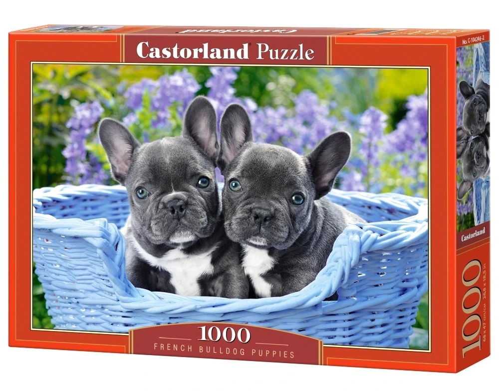CASTORLAND-Puzzle-1000-elementow-French-Bulldog-Puppies-Buldogi-francuskie-68x47cm-135139.jpg