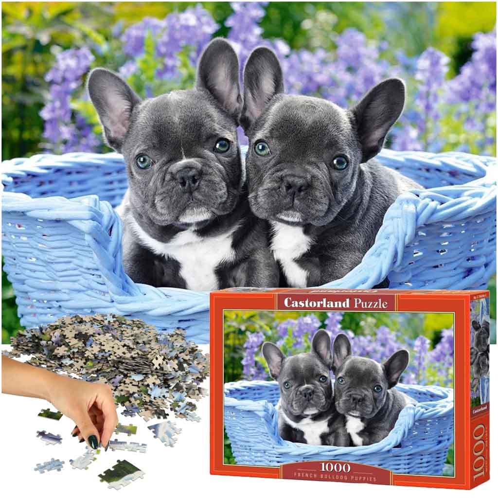 CASTORLAND-Puzzle-1000-elementow-French-Bulldog-Puppies-Buldogi-francuskie-68x47cm-137728.jpg