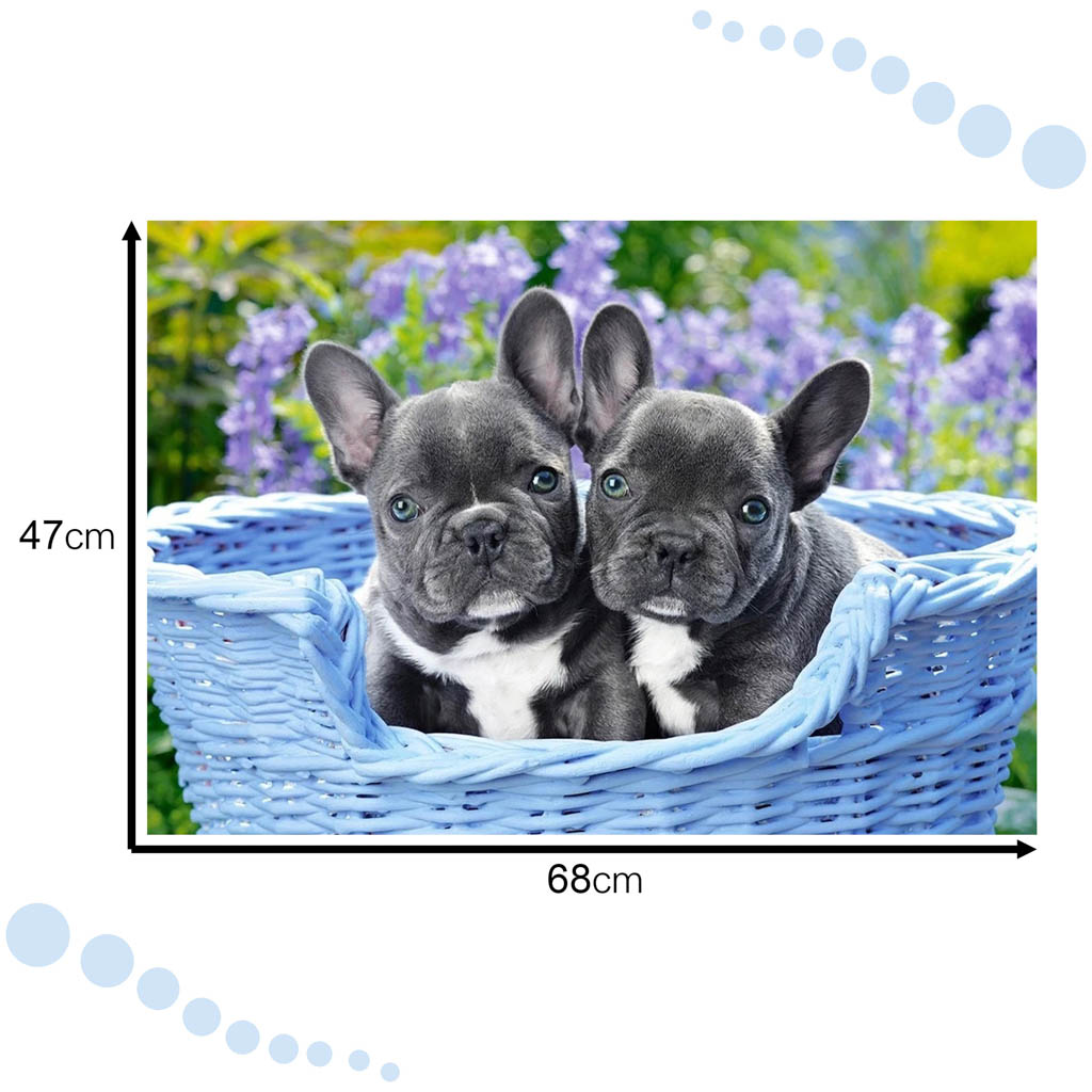 CASTORLAND-Puzzle-1000-elementow-French-Bulldog-Puppies-Buldogi-francuskie-68x47cm-137730.jpg